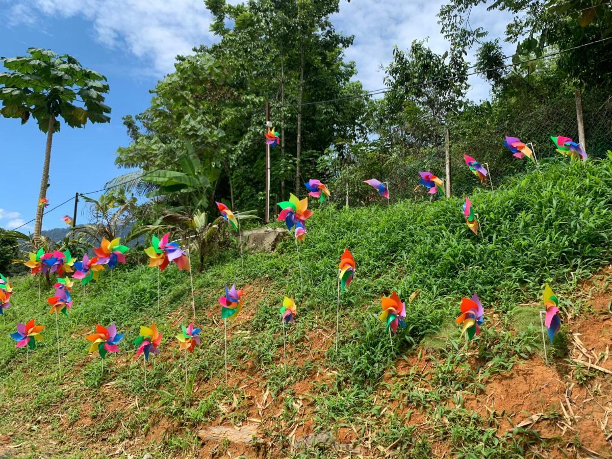 Happy Paradise Kampung Janda Baik Exteriör bild